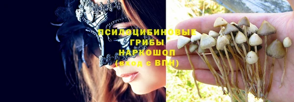альфа пвп Нея